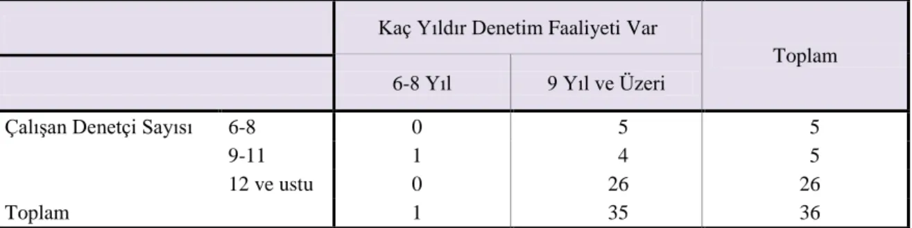 Tablo 13. Çalışan denetçi sayısı ile denetim yapılan toplam yıl