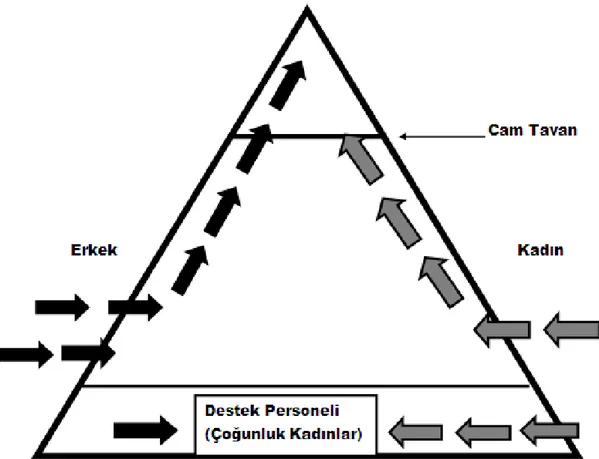 Şekil 2. Örgütsel Piramit İçinde Cam Tavan 