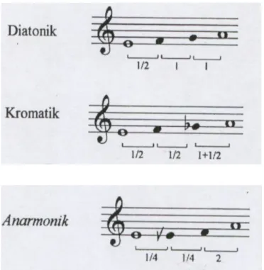 Şekil 6: Üç ayrı genos (Can, 2001) 
