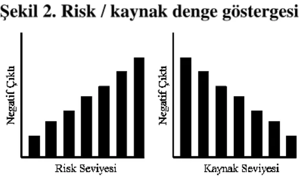 Şekil 2. Risk / kaynak denge göstergesi 