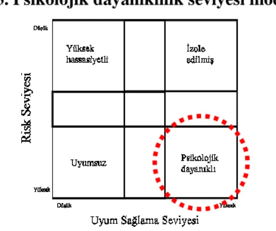 Şekil 3. Psikolojik dayanıklılık seviyesi modeli 