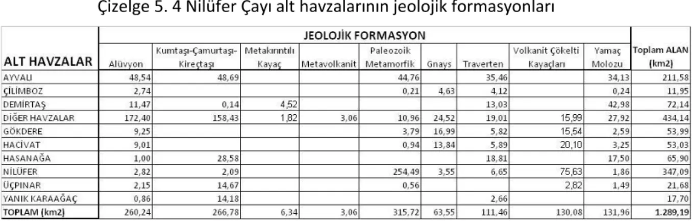 Çizelge 5. 4 Nilüfer Çayı alt havzalarının jeolojik formasyonları 