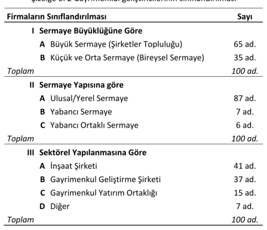 Çizelge 5. 2 Gayrimenkul geliştiricilerinin sınıflandırılması 