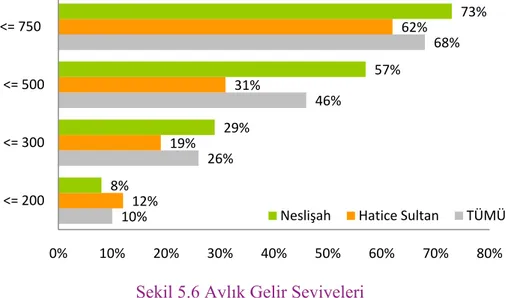 Şekil 5.6 Aylık Gelir Seviyeleri 