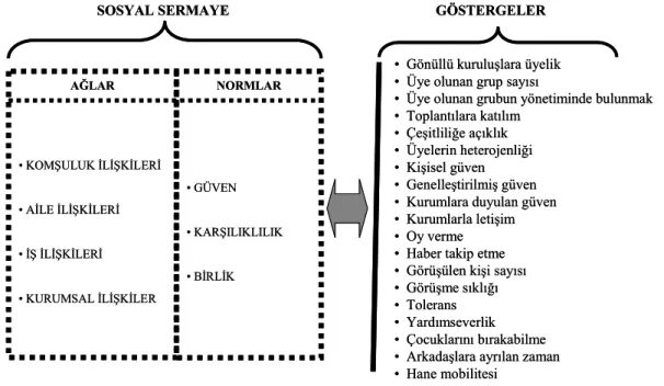 Şekil 3.3: Sosyal sermaye ve göstergeleri   (Kaynak: Tez kapsamında üretilmiştir) 