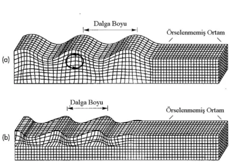 Şekil 2.2 Yüzey dalgalarının oluşturduğu deformasyonlar a) Rayleigh dalgası, b)Love dalgası  (Bolt, 1993) 