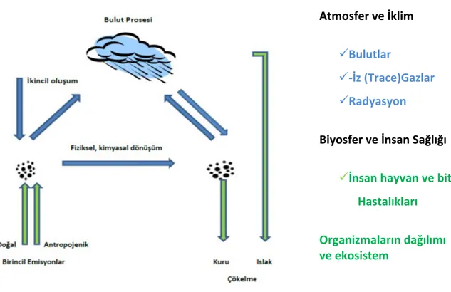 Şekil 1.1 Atmosferde genel aerosol döngüsü ve etki mekanizmaları [10, 11]’den adapte  edilmiştir