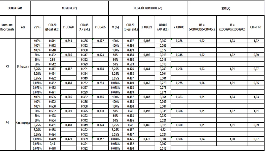 Çizelge 5.2 Unkapanı-Kasımpașa istasyonları (P3 – P4) sonbahar mevsimi SOS Chromotest hesap detayı ve CIF sonuç değerleri 