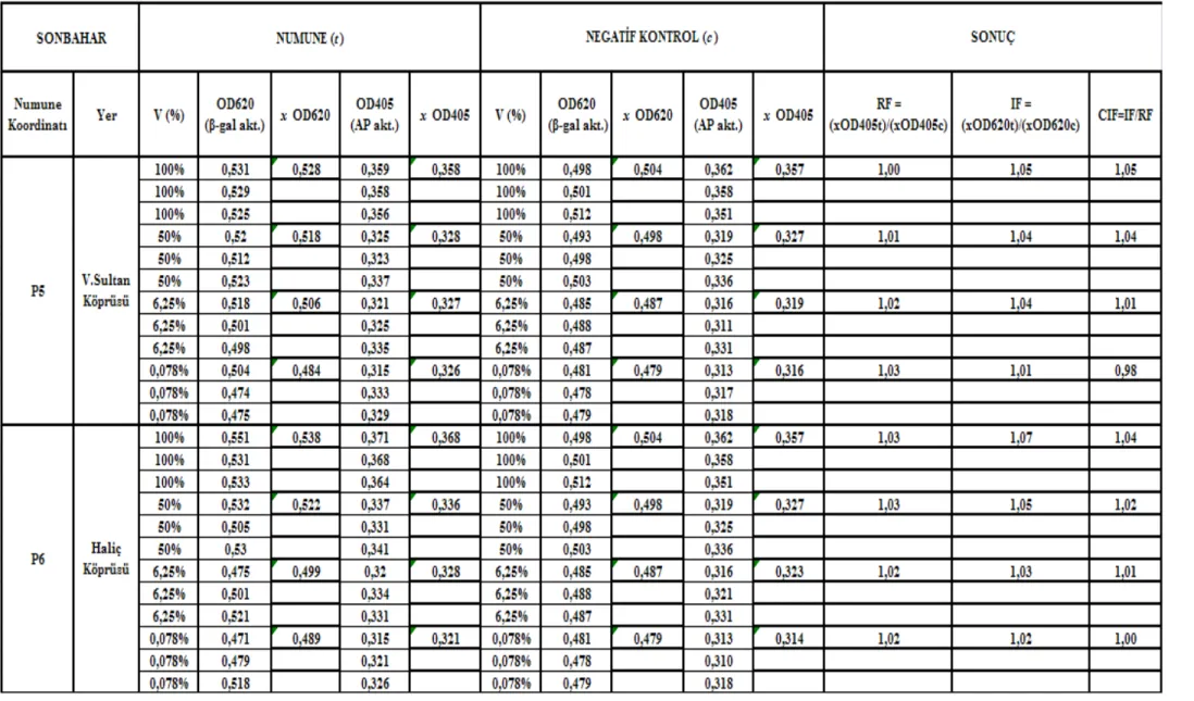 Çizelge 5.3 Valide Sultan Köprüsü-Haliç Köprüsü (P5 – P6) istasyonları sonbahar mevsimi SOS Chromotest hesap detayı ve CIF sonuç değerleri 