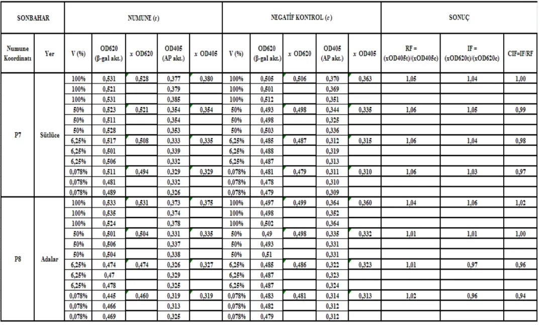 Çizelge 5.4 Sütlüce-Adalar istasyonları (P7 – P8) sonbahar mevsimi SOS Chromotest hesap detayı ve CIF sonuç değerleri 