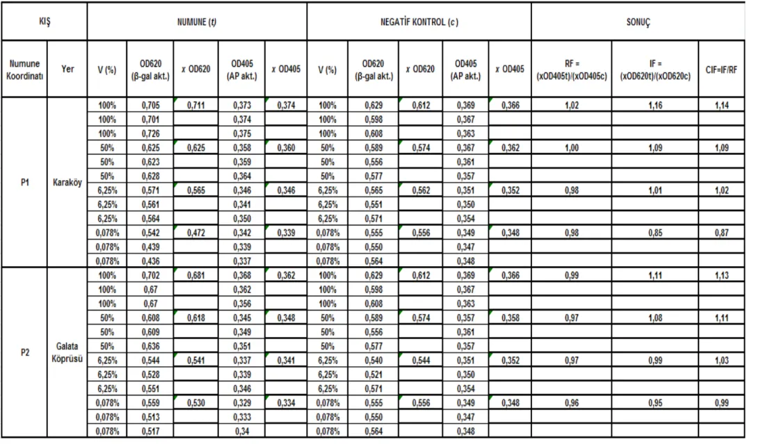 Çizelge 5.5 Karaköy-Galata Köprüsü istasyonları (P1 – P2) kıș mevsimi SOS Chromotest hesap detayı ve CIF sonuç değerleri 