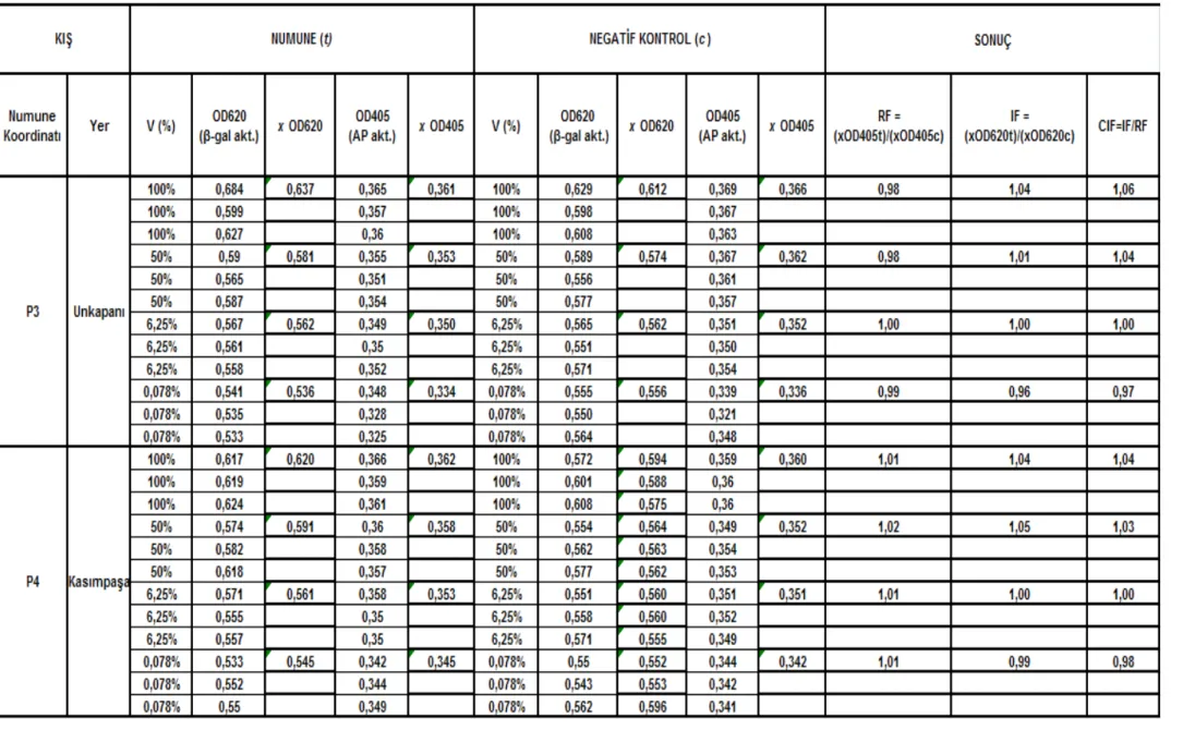 Çizelge 5.6 Unkapanı-Kasımpașa istasyonları (P3 – P4) kıș mevsimi SOS Chromotest hesap detayı ve CIF sonuç değerleri 