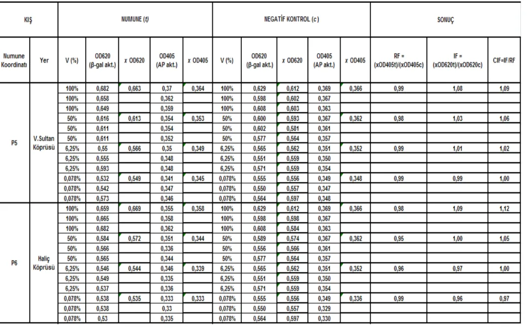 Çizelge 5.7 Valide Sultan Köprüsü-Haliç Köprüsü istasyonları (P5 – P6) kıș mevsimi SOS Chromotest hesap detayı ve CIF sonuç değerleri 