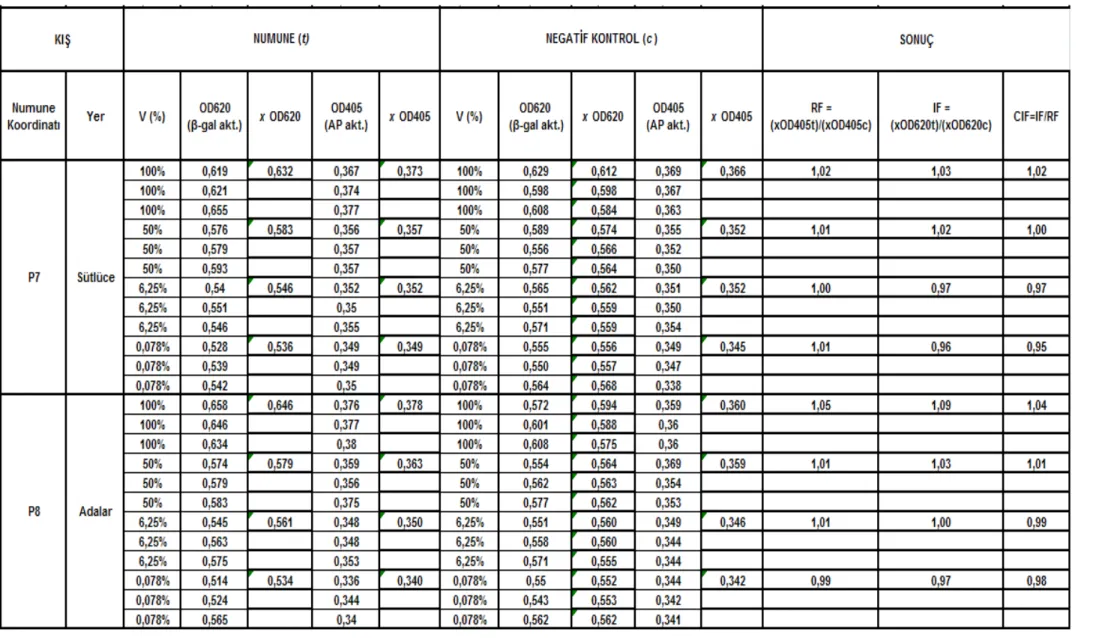 Çizelge 5.8 Sütlüce-Adalar istasyonları (P7 – P8) kıș mevsimi SOS Chromotest hesap detayı ve CIF sonuç değerleri 