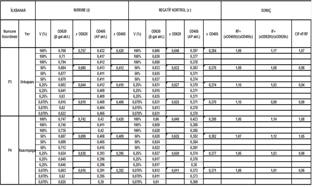 Çizelge 5.10 Unkapanı-Kasımpașa istasyonları (P3 – P4) ilkbahar mevsimi SOS Chromotest hesap detayı ve CIF sonuç değerleri 