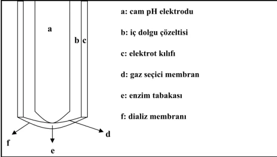 Şekil 2.2 Potansiyometrik gaz probu 