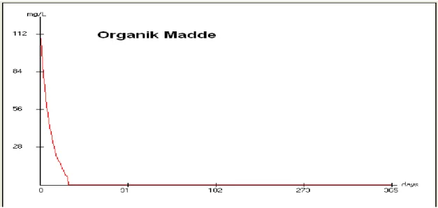 ġekil 5.29 Organik Madde için elde edilen bir yıllık simülasyon sonucu 