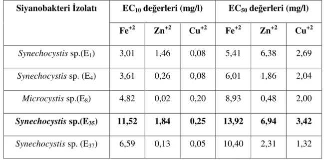 Çizelge 7.1 6 günlük denemede siyanobakteri izolatlarının EC 10  ve EC 50  değerleri 