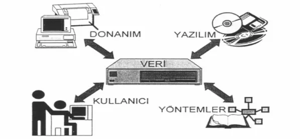 Şekil 2.3 ‘te coğrafi bilgi sistemi temel bileşenleri verilmiştir. 