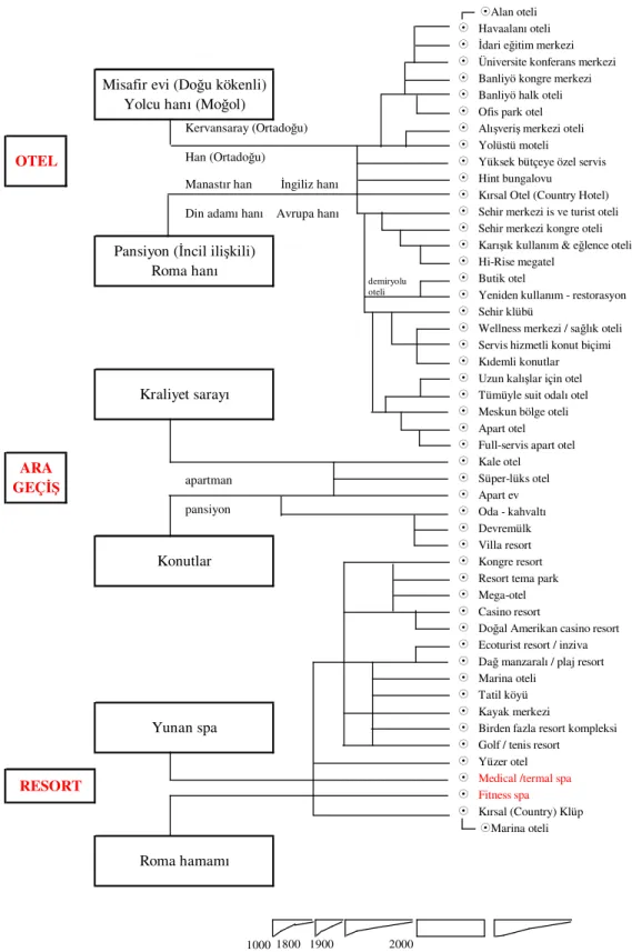 Çizelge 3.1 Otel tipleri evrimsel gelişim çizelgesi. Günümüzdeki otel tipleri ve tarihte dayandıkları temeller özetlenmiştir