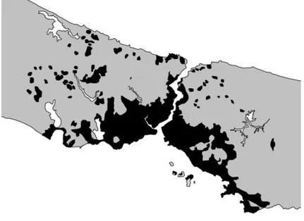 Şekil 2. 16  1990’lı yıllarda  İstanbul 1