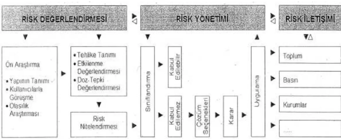 Şekil 4.4 Yapı biyolojisi risk araştırmaları sürecinde adımlar (Balanlı ve Öztürk, 2006)  4.3 Yapı Ürünlerinden Kaynaklanan Yapı  İçi Hava Kirliliğinde Risk 