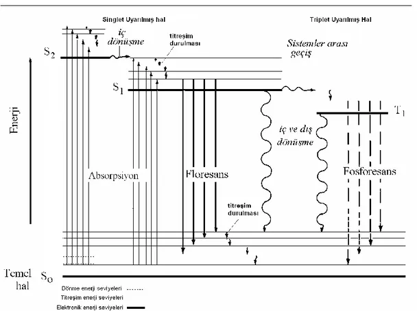 Şekil 2.11 Elektronik düzeyler arasındaki ışımalı ve ışımasız geçişler ve karakteristik  süreleri veren Perrin–Jablonski diyagramı (S: singlet, T: triplet)  [118]