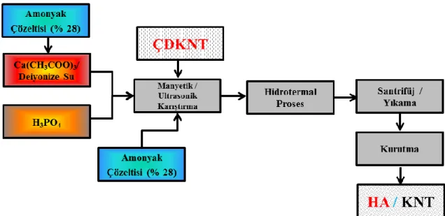 Şekil 3.6 HHA-2 kodlu nano HA tozları ile KNT’lerin hidrotermal yöntem ile  karıştırılmasını gösteren akış şeması 