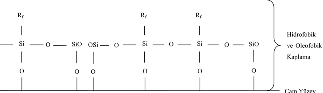 Şekil 2.8 Cam Yüzeyinde hidrofobik ve oleofobik kaplama oluşumu (Budakoğlu, 2006).  Hidrofobik  kaplamalar,  en  genel  ifade  ile  kaplama  yüzeylerinin  üzerine  bırakılan  sıvı  damlalarının  yüzeyle  yaptıkları temas açılarıyla (θ) karakterize edilir