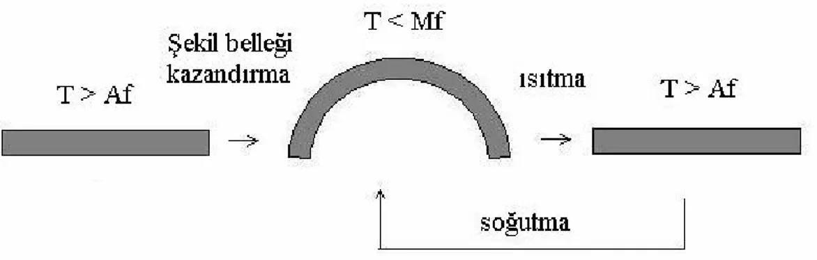 Şekil 2.7 Şekil bellekli alaşımlarda çift yönlü şekil bellek davranışı (ÇYD) 