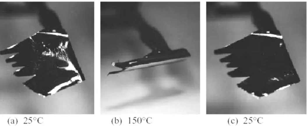 Şekil 3.19 Sıçratma metodu kullanılarak elde edilen NiTi ince film (Ho vd., 1999)  Telli tarafından magnetron sıçratma tekniği kullanılarak yapılan çalışmada ise kaplamanın  sıvı azot içesinde ve oda sıcaklığında hareketi tespit edilmiştir (Telli, 2004)