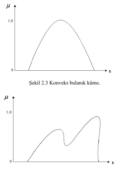 ġekil 2.3 Konveks bulanık küme. 