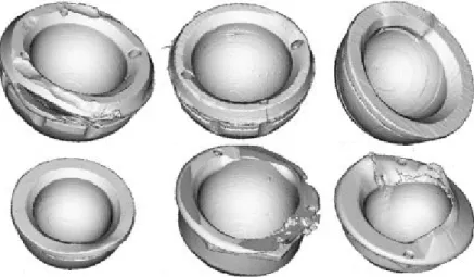 Şekil 2.19 Vücut içerisinden çıkmış asetabular insert numunelerinin mikro bilgisayarlı  tomografi yöntemi ile elde edilmiş 3B görüntüleri [109] 