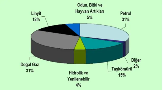 Şekil 2.4 Türkiye’nin 2007 yılı birincil enerji tüketiminin kaynaklara göre dağılımı  Çizelge 2.1 Ülkemizdeki enerji arz – talep gelişimi 