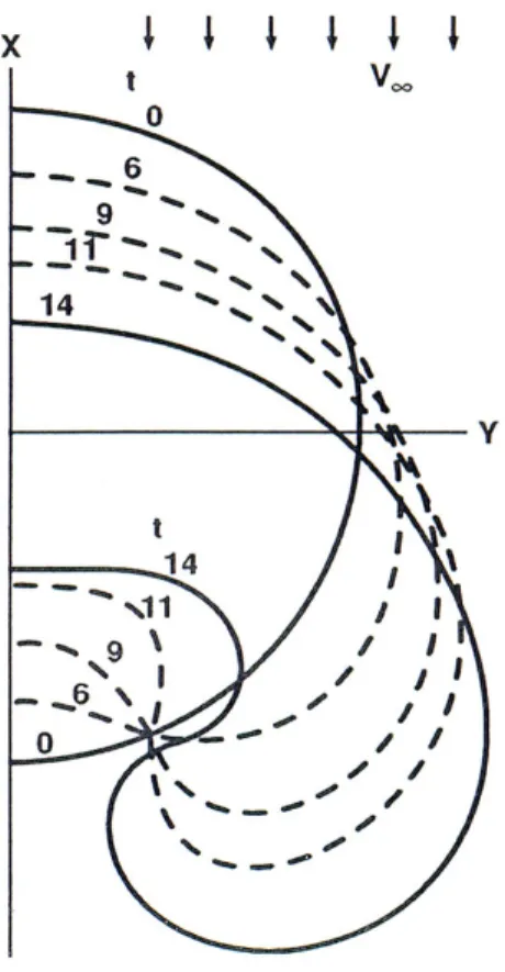 Şekil 2.1 Jetin çevresinin bir yarısı için, çapraz akış tarafından girdap akışının katlanmasıyla ilgili Chang’in sonuçları [9]