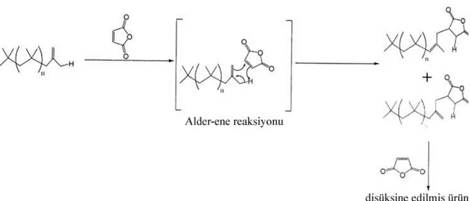 ġekil 3.7 Poliisobütenin maleik anhidrit ile meydana getirdiği direkt alkilasyon reaksiyonu  (Rudnick, 2003)