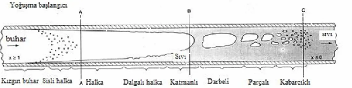 Şekil 3.1 Yatay boru içerisinde yoğuşmada ki akışın şematik şekli [Thome 2004] 