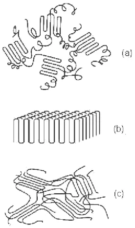 Şekil 2.7 Literatürdeki kristal modelleri; a) Herbir zincirin bir çok amorf ve kristal  bölgelerden geçtiği model, b) katlanmış zincir (Chain folded) modeli, c)“Fringed-Micelle” 