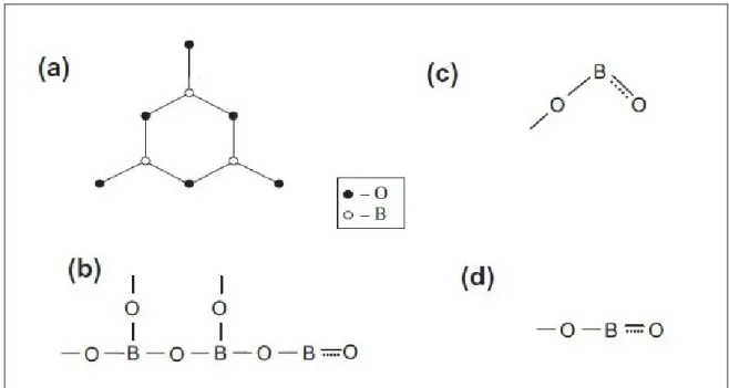 Şekil 2. 13  Çeşitli metaborat formları. Serbest B 3 O 6 -3  iyonu / metaborat halkası (a), üç  elemanlı (BO 2 ) 3 -3  anyonu zinciri (b), ‘V’ formundaki (c) ve düzlemsel yapıdaki(d)  BO 2 -1