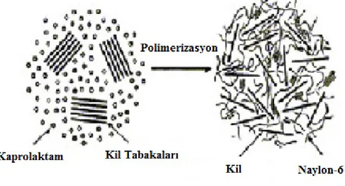 Şekil 2.8 Eş-Anlı polimerizasyonda polimer-dolgu maddesi dağılımı  2.2.4.2 Çözeltide Harmanlama Metodu  