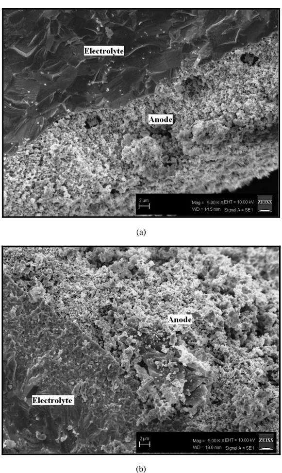 Figure 2.12 SEM images of the cross section of the (a) pre-tested and (b) post-tested 
