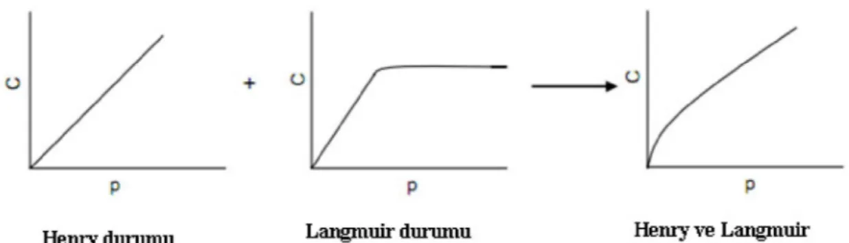 Şekil 2.6 Henry ve Langmiur sorpsiyon izotermleri 