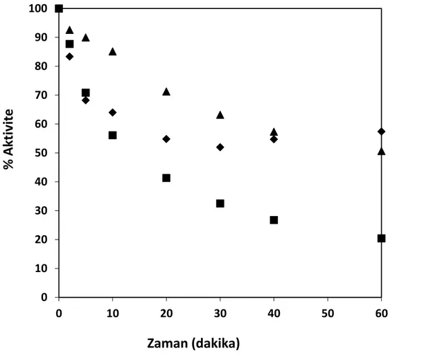 Şekil 8.10 Enzim stabilitesi kontrol deneyleri için zamana karşılık elde edilen % enzim  aktivite değerleri, T= 50°C, pH= 7, E= % 0.25 (hacim/hacim) (▲ fosfat tamponda,           