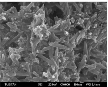 Şekil 6.1’ de HAP kristallerinin SEM fotoğrafı incelendiğinde elde edilen aşı kristallerin  çubuk şeklinde ve nanometre boyutunda olduğu görülmektedir