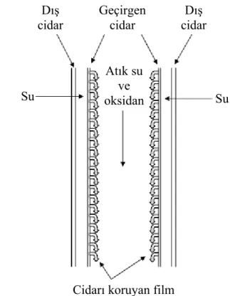 Şekil 2.8 Geçirgen cidarlı reaktörde film oluşumu (Marrone vd., 2004)  2.4.4  Süperkritik su oksidasyonunun genelleştirilmiş kimyası 