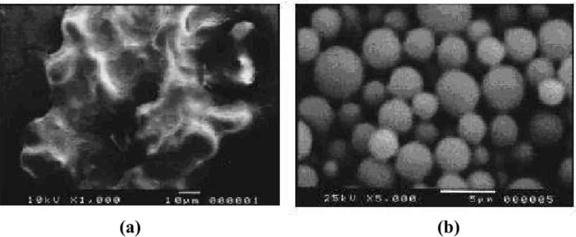 Şekil 6.12 Polimetil metakrilatın 2 değişik polimerizasyon süresi için SEM görüntüleri (a) 8  saat, (b) 12 saat (Polimerizasyon koşulları: % 1 AIBN,  % 5 p(HDFDA-co-SiMA), 35 MPa,  65°C) (Deniz vd., 2005) 
