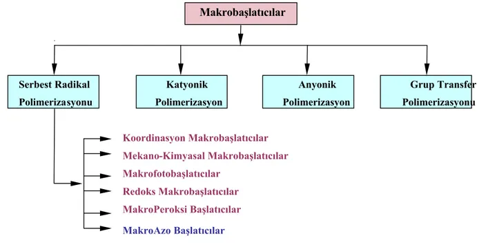 Şekil 3.2 Makrobaşlatıcıların sınıflandırılması ve türleri. 