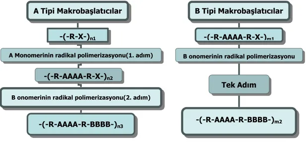 Şekil 3.9  Makrobaşlatıcılar ile blok kopolimerizasyon prensipleri (Mishra, 1994). A Tipi Makrobaşlatıcılar 