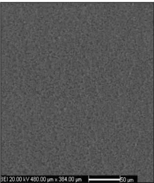 Şekil 4. 10 S10 sensörüne ait SEM görüntüsü  4.3  Sensörlerin LCR Metrede Ölçülen Nem Algılama Özellikleri 