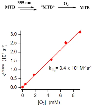 Şekil 4.  19 O2’ nin konsantrasyonunun değişmesiyle MTB’ nin sönümlenme hız  sabitinin laser flaş fotoliz tekniğiyle hesaplanması 